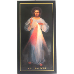 Oprawa Jezus Miłosierny 30x60