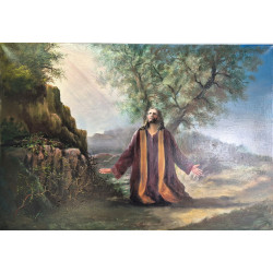 Olej na płótnie 80 x 55...