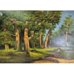 Olej na płótnie 70 x 50...