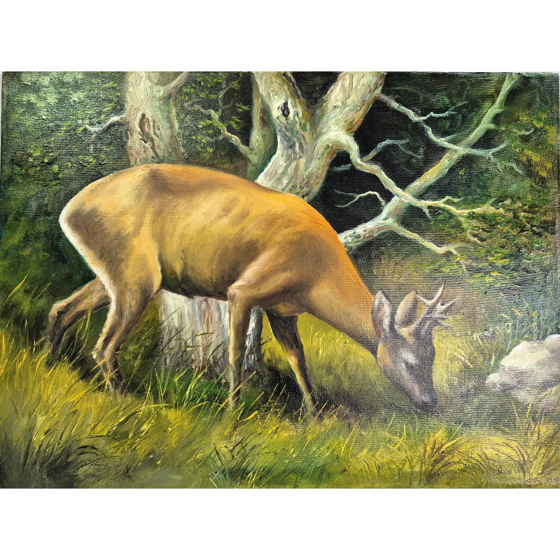 Olej na płótnie 60 x 45 "Jelonek " Autor: E. Brocki 2019 kod: 494EB
