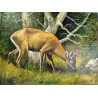 Olej na płótnie 60 x 45 "Jelonek " Autor: E. Brocki 2019 kod: 494EB