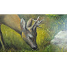 Olej na płótnie 60 x 45 "Jelonek " Autor: E. Brocki 2019 kod: 494EB